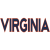 Virginia Cavaliers U19 Cavaliers U19