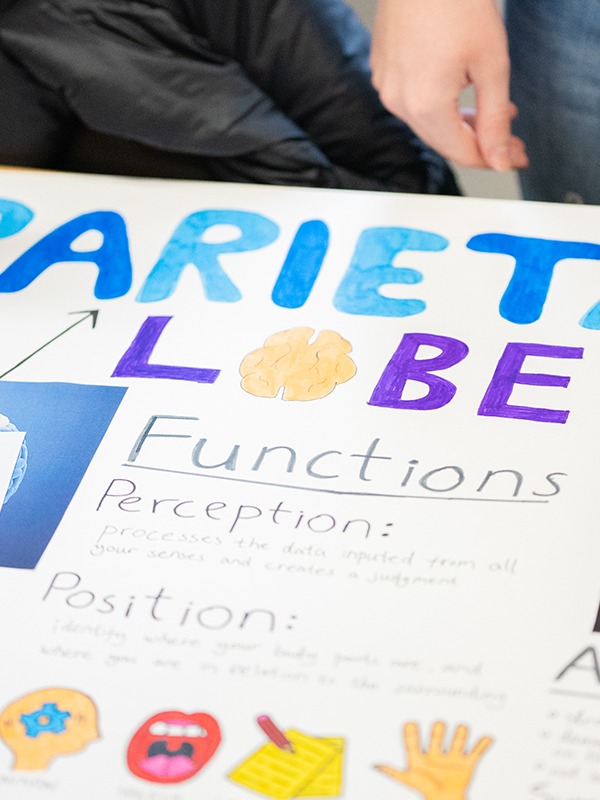 Language and Learning Support