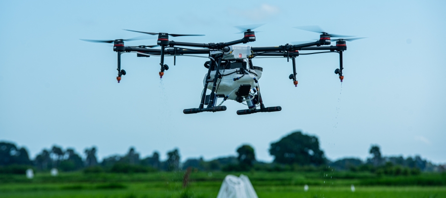 Pilotprojekt