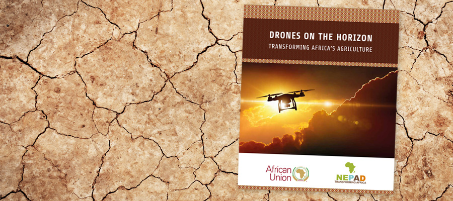 „Drones on the Horizon“