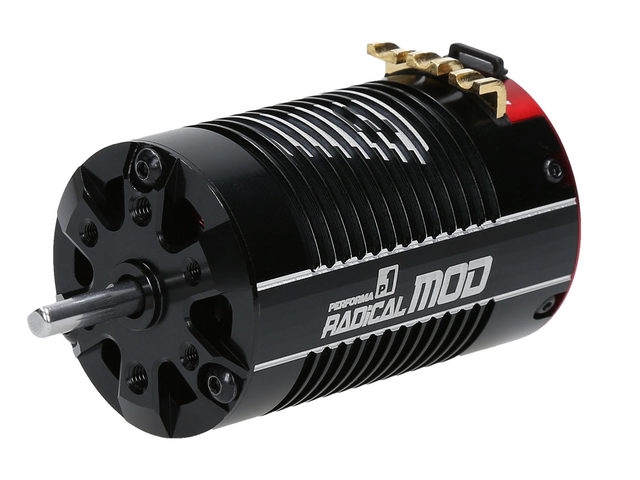 P1 Radical 690 Modified Motor bei Performa Racing