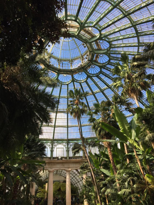 Les Serres Royales de Laeken : un joyau architectural et tropical à visiter