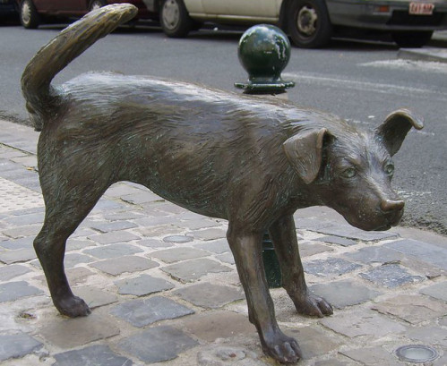 Brussel, een stad geschikt voor honden