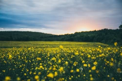 What to do in Brussels in April ?