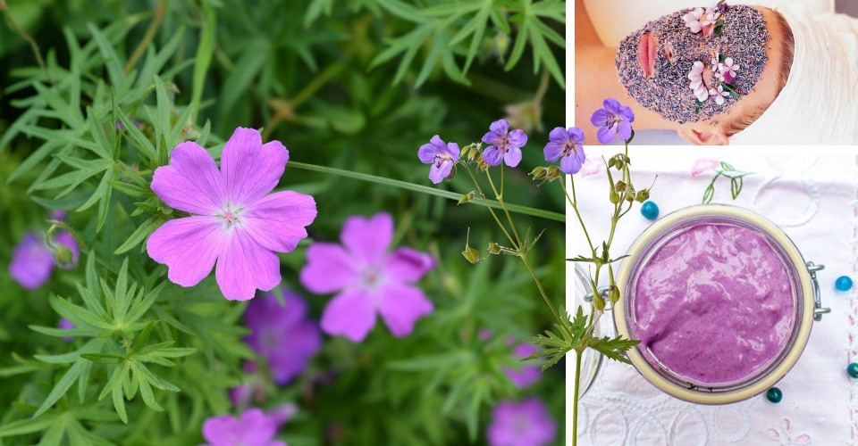 IDYL Beauty for treatments that will delight you