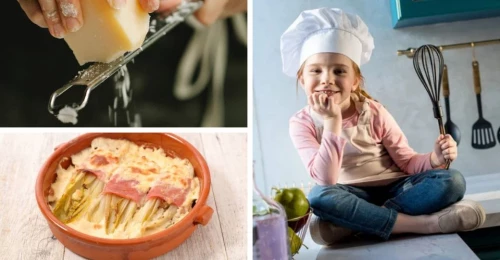 Gegratineerd witloof
