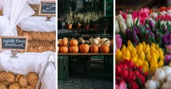 Le marché bio à la place du Luxembourg