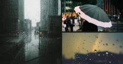 Petit lexique de la pluie bruxelloise