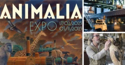 Redécouvrez le Musée du Train avec « ANIMALIA», la nouvelle exposition de Train World à Bruxelles