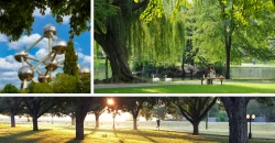 Prendre le soleil dans les parcs cachés de Bruxelles