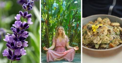Verkennen Van Natuurlijke Remedies Voor Stressbeheer: Wat Zegt De Wetenschap?