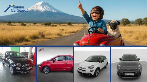 in de stad? Vergeet zeker deze tips niet!