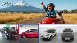 in de stad? Vergeet zeker deze tips niet!