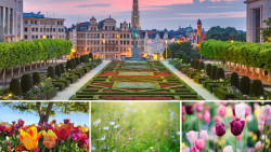 Découvrez les lieux fleuris de Bruxelles