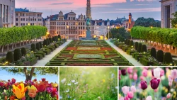 Découvrez les lieux fleuris de Bruxelles