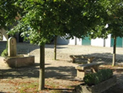 Fondation Folon
