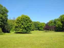 Parc Josaphat