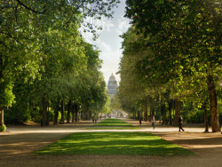 Parc de Bruxelles / Parc Royal