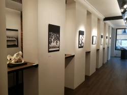 Partage Galerie