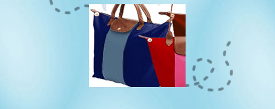 Pliage Longchamp available on the web