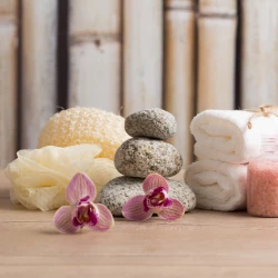 Wellness in België