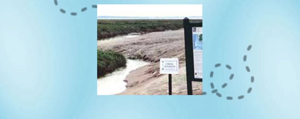 Baie de Somme