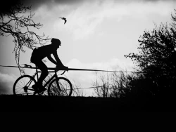 Cyclocross