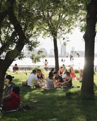 Picknick, het openbare terras
