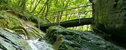 De Belgische Ardennen