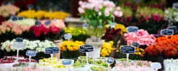 Acheter des fleurs à toute heure