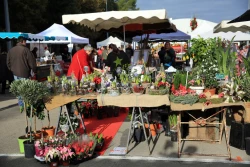 Marché du Midi