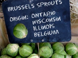 Brussels around the world