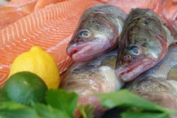 Le poisson dans tous ses états