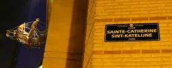 Sainte Catherine - Vismet à toutes les sauces