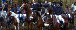 Het Ter Kamerenbos in galop