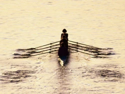 L’aviron à Bruxelles