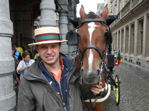 Een dag als koetsier in Brussel