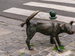 Aux origines des zinnekes