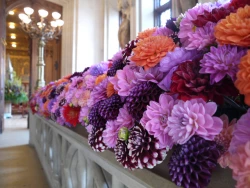 Deux fleuristes bruxelloises à Flowertime 2015