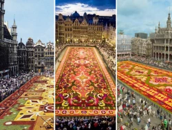 Rétrospective des Tapis de fleurs