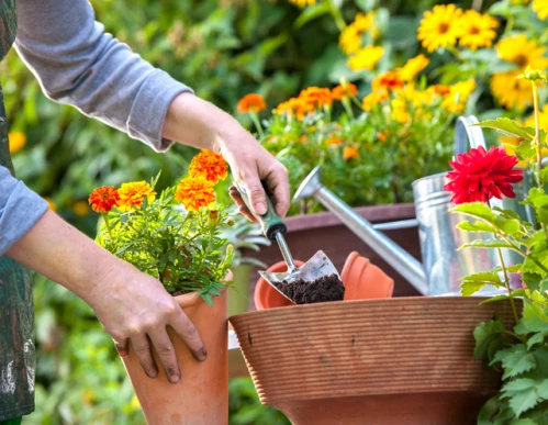 Comment réussir son premier jardinage de printemps
