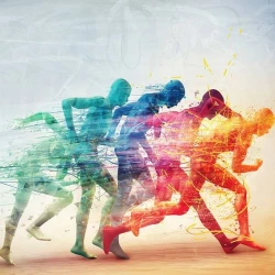 L'analyse holobiorythme de nos Diables Rouges