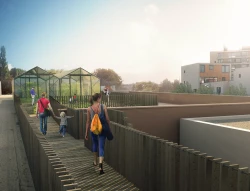 Des légumes fraîchement cueillis du toit à l'étalage, ça se passe à Ixelles