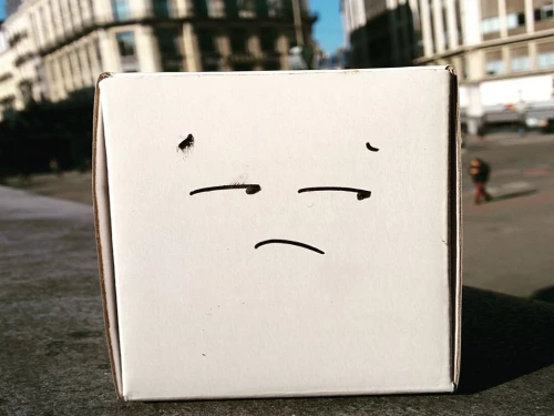 Leo Not Happy: héros masqué de la propreté bruxelloise