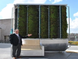 Un arbre nouvelle génération à découvrir dans le centre-ville de Bruxelles