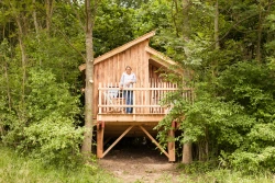 Trois éco-cabanes pour redécouvrir la nature bruxelloise