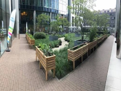 Skyfarms: Un potager dans le ciel à Bruxelles