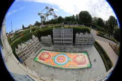 Le Tapis de Fleurs 2018 en exclusivité à Mini Europe !