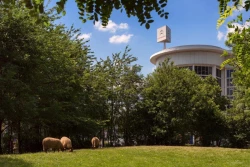La ferme du parc Maximilien en plein cœur de la capitale