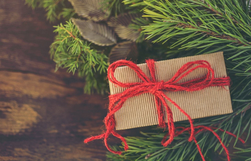 Idée de cadeaux : offrez un livre sur Bruxelles ou écrit par un bruxellois !